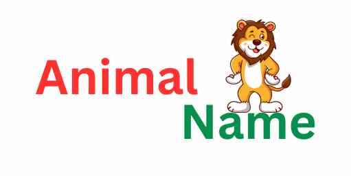 Animal Name